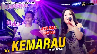 Download KEMARAU - Intan Afiffah Sate Barokah Duwe Gawe Live Trowulan - Mojokerto #2024 MP3