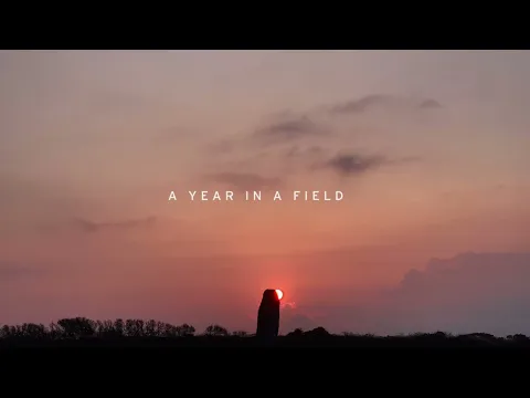 A Year in a Field - Sheffield DocFest 2023