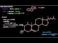 Lipids Part 11 of 11 - Sterols Steroids