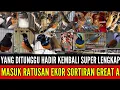 Download Lagu 🔴 MASUK RATUSAN EKOR FULL BURUNG POIN SORTIRAN GREAT A 0838-7553-6945