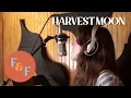 Download Lagu Harvest Moon (Cover) - Neil Young by Foxes and Fossils