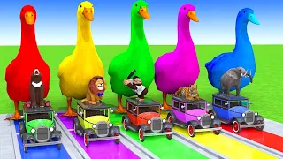 Gaming Music | 5 Giant Duck Cartoon | Paint Wild Animals Crossing Fountain Animation | MAP 056
