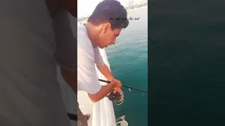 ماهیگیری صید همزمان ماهی باراکودا اسکله تفریحی کیش با روش اسپینینگ 