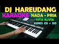 Lagu DJ HAREUDANG - KARAOKE NADA COWOK/PRIA /NESTAPA - Vita Alvia