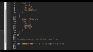 Accessing Nested Arrays freeCodeCamp Basic Javascript