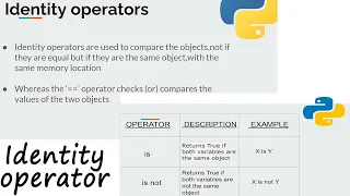 How to use Identity Operators in Python Python Programming