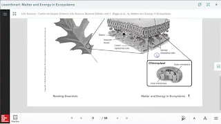 This webinar will give you tips and tricks to help you find your African-American ancestors. Start Y. 