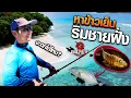 Download Lagu ภารกิจหาข้าวเย็น!ตกปลาชายฝั่งบนเกาะส่วนตัว จะเจอตัวอะไรบ้าง!?!![สาระตั้ม-Thumbntk]