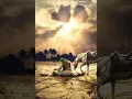 Download Lagu Nana madina humse chhut gaya #islamicstatus #youtubeshorts #shorts