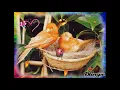 Download Lagu Na Na Karte Pyar Tumhin Se - Mohammed Rafi \u0026 Suman Kalyanpur, ft. Shashi Kapoor \u0026 Nanda (JJPK--1965)