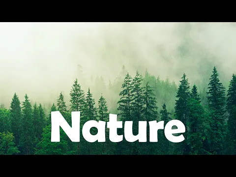 Download MP3 Nature No Copyright Music || Nature Music No Copyright (Vlog No Copyright Music)