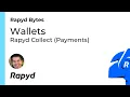 Rapyd Bytes Wallet Object