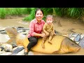 Download Lagu Single Mom Catches Tons of Giant Carp in the Mud by Hand to Sell at Market