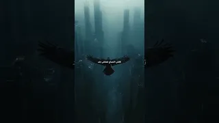 تحت سابع ارض الشامي 