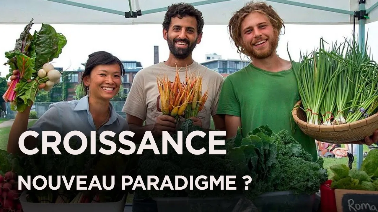 L’ILLUSION DE LA CROISSANCE : jusqu’où allons-nous y croire ? - Documentaire monde - AT