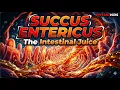 Succus Entericus