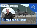 Download Lagu Ebel is de nieuwe dekhengst voor het Groninger Paard
