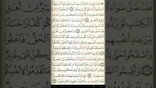 ماهر المعيقلي سورة البقرة مكتوبة صفحة 17 مصحف المدينة المنورة جودة عالية 