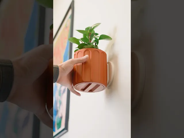 Wall Planter with Hidden Drip Tray - LG02 video thumbnail