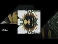Hank Lotion - DoNe WIth U (Royalty Free Music)