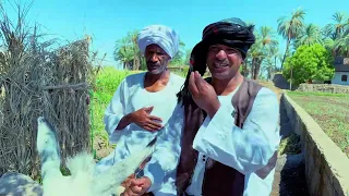 الحاج الضوى عبدالناصر اخد فياجرا وراح العنايه المركزه ضحك مووت 