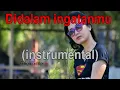 Lagu Elvy S   Petualang cinta