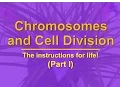 2-1 1 - Chromosomes and Cell Division Part 1