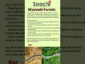 Lagu Do you know about Miyawaki forests? Have you seen one? | Saachi Japanese Institute | #saachijapan