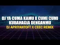 Download Lagu Dj Ya Cuma Kamu X Cumi Cumi X Kubahagia Denganmu