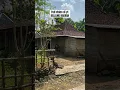 Download Lagu Gending Jawa klasik lawas original dan nuansa desa seperti tahun 70 an