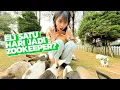 Download Lagu [One Day One] APAKAH ELI KUAT SEHARIAN JADI ZOOKEEPER?