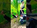 Download Lagu china funny video shorts#funny #comedy #ngakak #duet #lucu#shortfeed #cute #remix #shortvideo