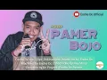 Download Lagu ENCHO DC - PAMER BOJO (Cover Version) 2021