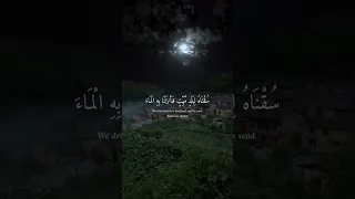من سورة الأعراف   القارئ اسلام صبحي دندنها