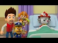 Download Lagu Paw Patrol Ultimate Rescue | What Happened to Marshall? Marshall Please Wake Up! | Rainbow 3