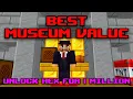 100m Museum Value for 1 Million Coins - The Best Museum Value Hypixel Skyblock