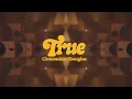 Clementine Douglas - True (Official Visualiser)
