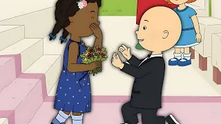 The Wedding Caillou s New Adventures