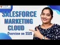 Overview on SSJS in Salesforce Marketing Cloud SFMC Online Course CloudFoundation