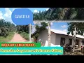 Download Lagu MELIHAT LEBIH DEKAT : perumahan karyawan sawit sinarmas Kalimantan Tengah || #seruyan