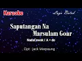 Download Lagu Karaoke Saputangan na marsulam Goar ( Nada Cowok)