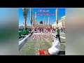 Lagu Kalam mian Muhammad bakhsh || roga vicho Rog Muhammad jis da Nam greebi || #kalam || official 2023