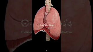 يا أيها الإنسان ما غرك بربك الكريم ياسر الدوسري قناة الفردوس الأعلى 