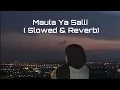 Lagu Maula Ya Salli - Sami Yusuf ft. Qasida Burda Shareef ( Slowed \u0026 Reverb) | English lyric video