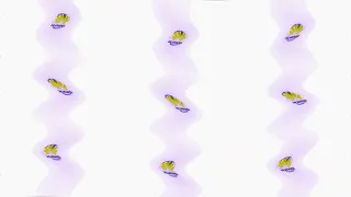 huawei logo effects sponsored by bp logo effects x is diet