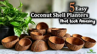5 Amazing Coconut Shell Planter Ideas | Creative DIY Gardening Ideas//GREEN PLANTS