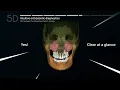 5D A New Dimension in Digital Dentistry