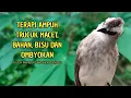 Download Lagu Trucukan GACOR ngalas ROPEL PANJANG suara alam AMPUH buat pancingan jadikan trucuk Gacor GARUDA