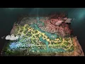 New Patch 7 38 Wandering Waters In-game Map Changes