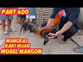 Download Lagu PART 400 🛑 WANGKAS KAKI HIJAU MODEL MANGON 